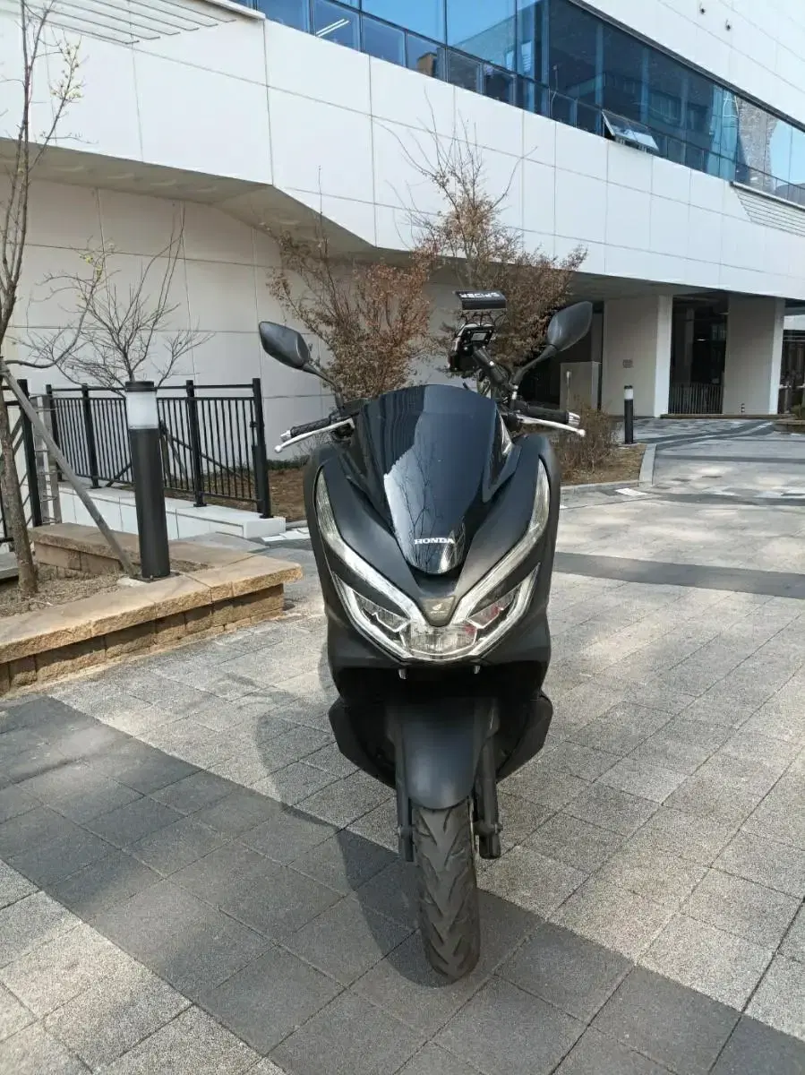 드라이브애드/DA-044/혼다/pcx/19년식/53,740km/자체할부